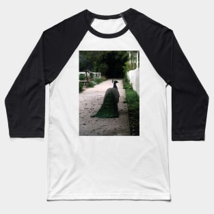 Peacock Path Baseball T-Shirt